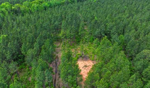 Photo #26 of Off Western Mill Rd, Lawrenceville, VA 207.9 acres
