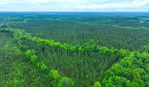 Photo #30 of Off Western Mill Rd, Lawrenceville, VA 207.9 acres