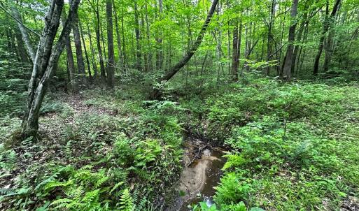 Photo #34 of Off Western Mill Rd, Lawrenceville, VA 207.9 acres