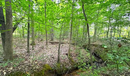 Photo #35 of Off Western Mill Rd, Lawrenceville, VA 207.9 acres