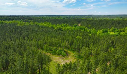 Photo #36 of Off Western Mill Rd, Lawrenceville, VA 207.9 acres