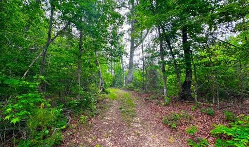 Photo #39 of Off Western Mill Rd, Lawrenceville, VA 207.9 acres