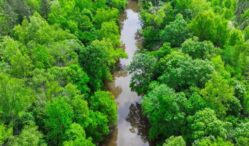 Photo #4 of Off Western Mill Rd, Lawrenceville, VA 207.9 acres
