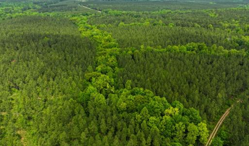 Photo #6 of Off Western Mill Rd, Lawrenceville, VA 207.9 acres