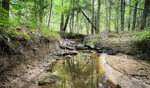 Photo #7 of Off Western Mill Rd, Lawrenceville, VA 207.9 acres