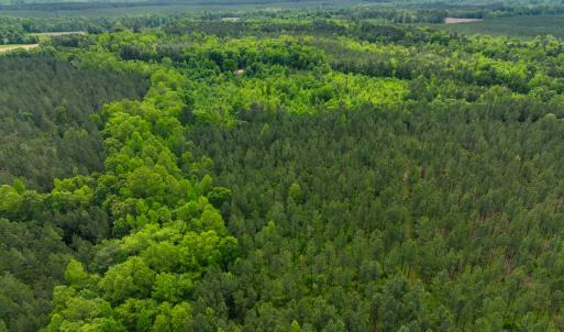 Photo #8 of Off Western Mill Rd, Lawrenceville, VA 207.9 acres