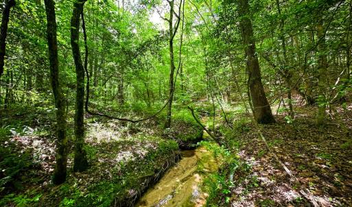 Photo #9 of Off Western Mill Rd, Lawrenceville, VA 207.9 acres