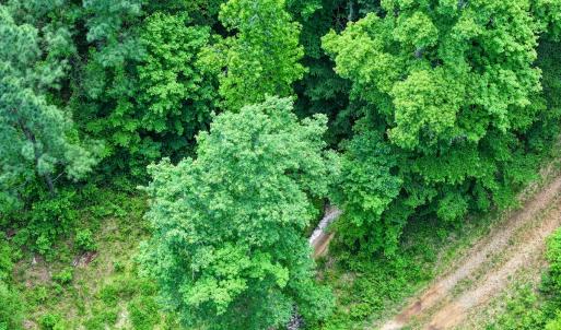 Photo #41 of Off Western Mill Rd, Lawrenceville, VA 207.9 acres