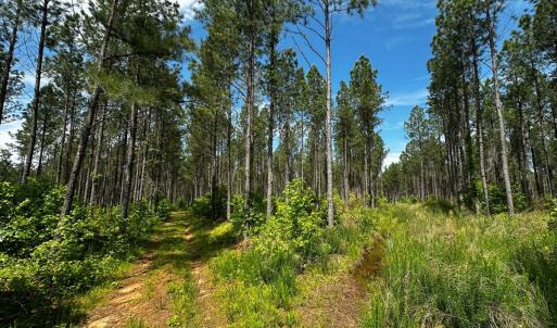Photo #43 of Off Western Mill Rd, Lawrenceville, VA 207.9 acres