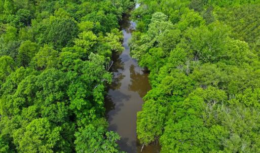 Photo #44 of Off Western Mill Rd, Lawrenceville, VA 207.9 acres