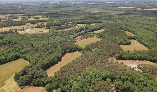 Photo #9 of 768 Bethesda Church Road, Farimont, NC 130.0 acres