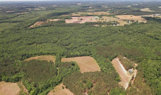 Photo #13 of 768 Bethesda Church Road, Farimont, NC 130.0 acres