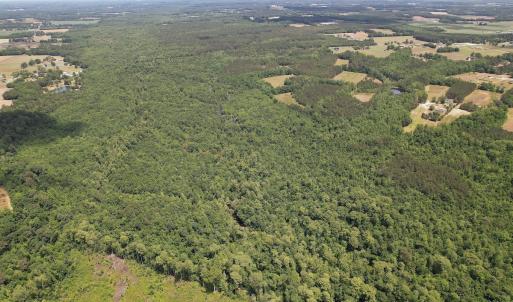 Photo #15 of 768 Bethesda Church Road, Farimont, NC 130.0 acres