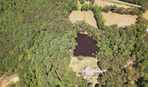 Photo #16 of 768 Bethesda Church Road, Farimont, NC 130.0 acres