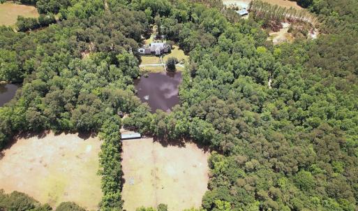Photo #17 of 768 Bethesda Church Road, Farimont, NC 130.0 acres