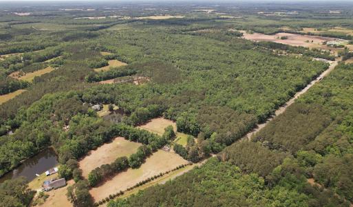Photo #8 of 768 Bethesda Church Road, Farimont, NC 130.0 acres