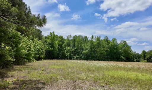 Photo #34 of 768 Bethesda Church Road, Farimont, NC 130.0 acres
