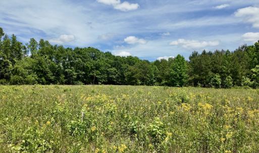 Photo #35 of 768 Bethesda Church Road, Farimont, NC 130.0 acres