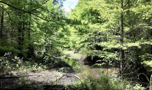 Photo #36 of 768 Bethesda Church Road, Farimont, NC 130.0 acres