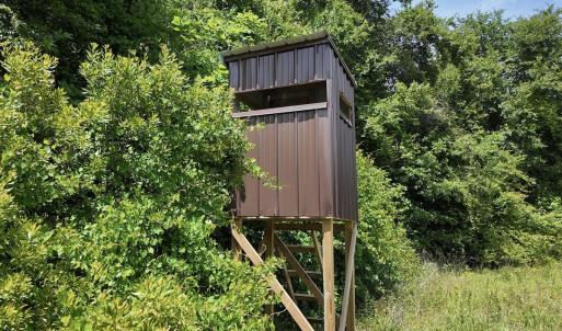 Photo #37 of 768 Bethesda Church Road, Farimont, NC 130.0 acres