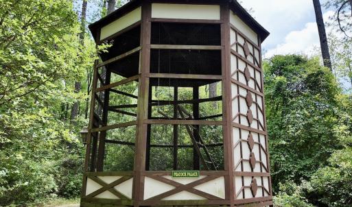 Photo #39 of 768 Bethesda Church Road, Farimont, NC 130.0 acres