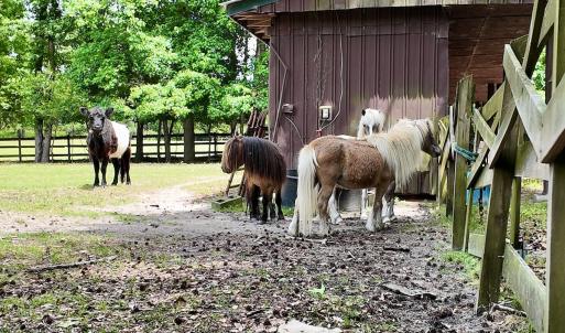 Photo #41 of 768 Bethesda Church Road, Farimont, NC 130.0 acres