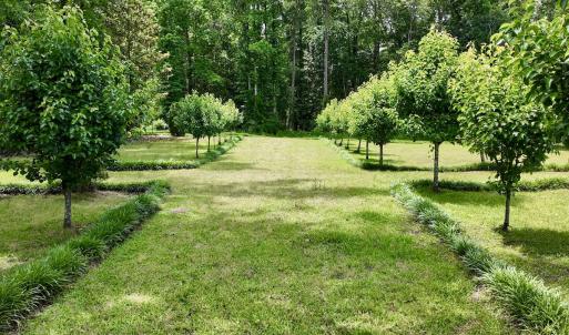 Photo #50 of 768 Bethesda Church Road, Farimont, NC 130.0 acres
