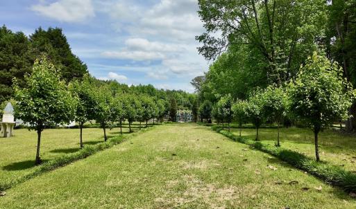 Photo #51 of 768 Bethesda Church Road, Farimont, NC 130.0 acres