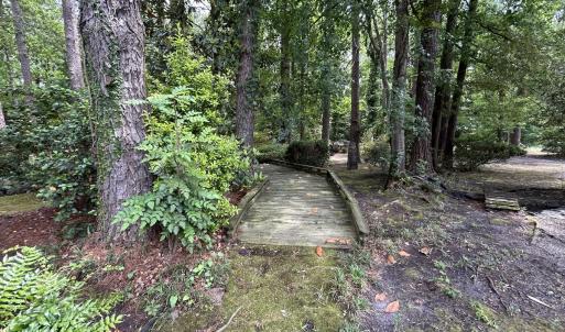 Photo #55 of 768 Bethesda Church Road, Farimont, NC 130.0 acres