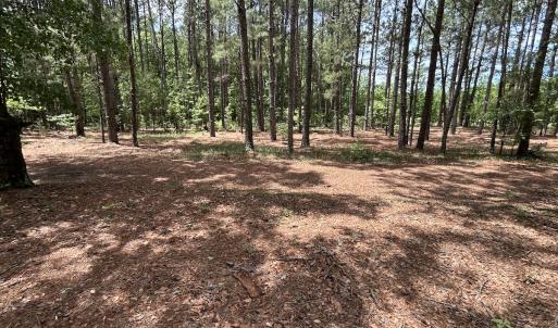 Photo #56 of 768 Bethesda Church Road, Farimont, NC 130.0 acres