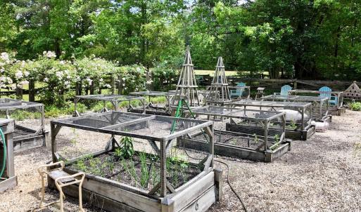 Photo #58 of 768 Bethesda Church Road, Farimont, NC 130.0 acres