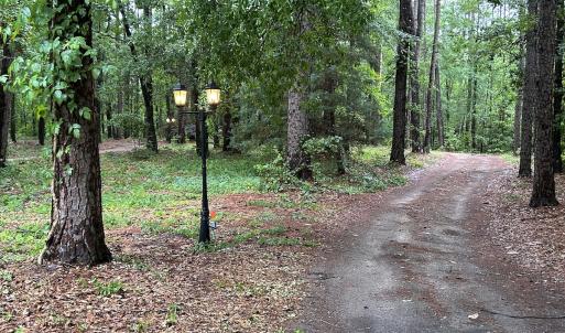 Photo #65 of 768 Bethesda Church Road, Farimont, NC 130.0 acres