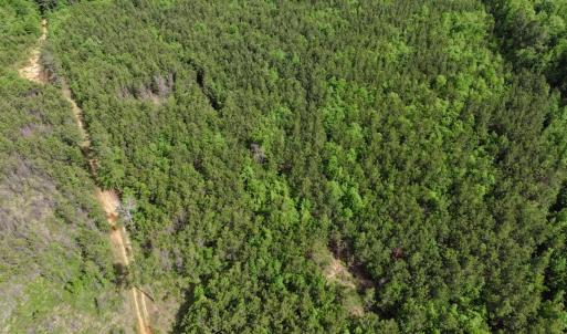 Photo #10 of 7175 Beef Steak Rd, Waverly, VA 76.7 acres