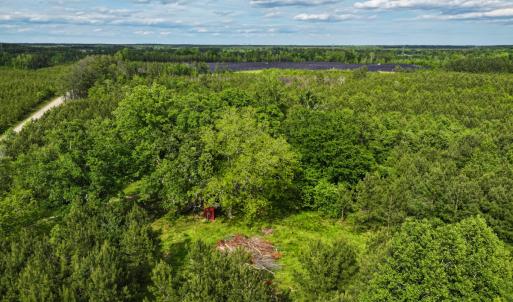 Photo #17 of 7175 Beef Steak Rd, Waverly, VA 76.7 acres
