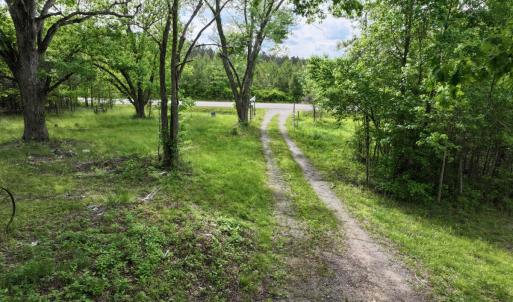 Photo #18 of 7175 Beef Steak Rd, Waverly, VA 76.7 acres