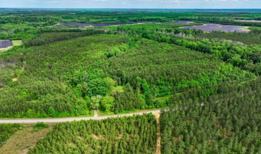 Photo #1 of 7175 Beef Steak Rd, Waverly, VA 76.7 acres