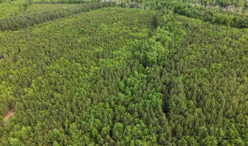 Photo #2 of 7175 Beef Steak Rd, Waverly, VA 76.7 acres