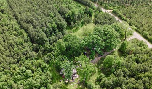 Photo #21 of 7175 Beef Steak Rd, Waverly, VA 76.7 acres