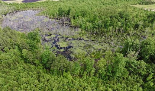 Photo #4 of 7175 Beef Steak Rd, Waverly, VA 76.7 acres