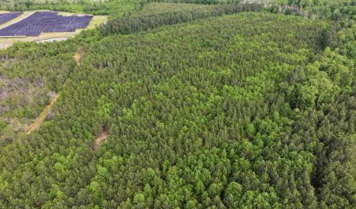 Photo #5 of 7175 Beef Steak Rd, Waverly, VA 76.7 acres