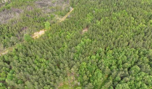 Photo #6 of 7175 Beef Steak Rd, Waverly, VA 76.7 acres