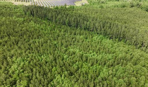 Photo #7 of 7175 Beef Steak Rd, Waverly, VA 76.7 acres