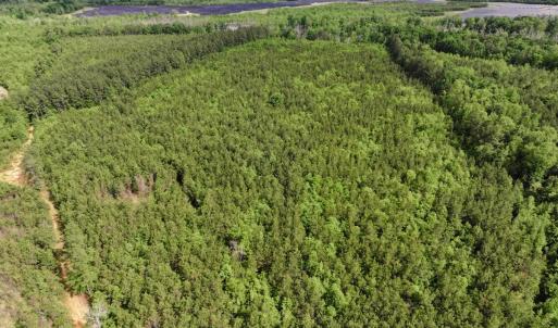 Photo #9 of 7175 Beef Steak Rd, Waverly, VA 76.7 acres