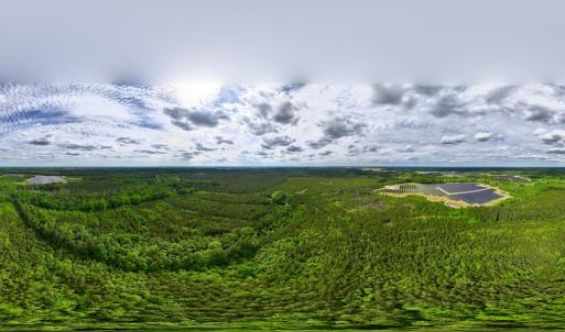 Photo #22 of 7175 Beef Steak Rd, Waverly, VA 76.7 acres