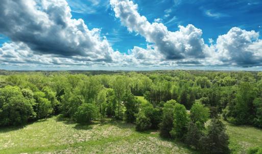 Photo #14 of Off Longs Mill Road - Lot 1, Blanch, NC 35.5 acres