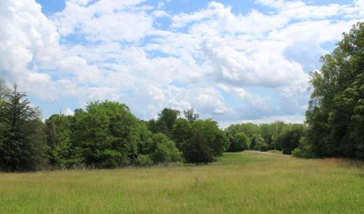 Photo #28 of Off Longs Mill Road - Lot 1, Blanch, NC 35.5 acres