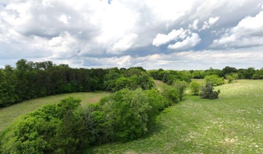 Photo #13 of Off Longs Mill Road - Lot 2, Blanch, NC 10.2 acres
