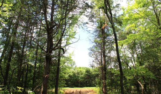 Photo #27 of Off Longs Mill Road - Lot 2, Blanch, NC 10.2 acres