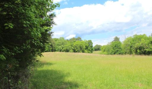 Photo #28 of Off Longs Mill Road - Lot 2, Blanch, NC 10.2 acres