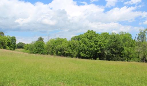 Photo #29 of Off Longs Mill Road - Lot 2, Blanch, NC 10.2 acres